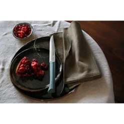 Opinel Coffret 4 Couteaux De Table Lame Micro-dentée 11 Cm Bon Appétit Plus Anthracite 11 Opinel Coffret 4 Couteaux De Table Lame Micro-dentée 11 Cm Bon Appétit Plus Anthracite -Cuisine À La Maison 419003 4 2 Coffret 4 couteaux de table lame micro dentee 11 cm Bon Appetit Plus anthracite Opinel