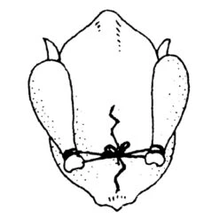 Ficelle De Cuisine 152 M -Cuisine À La Maison 601080 3 1 Ficelle de cuisine 152 m