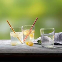 Presse-agrume For Drinks -Cuisine À La Maison 613032 2 1 Presse agrume For Drinks Betty Bossi